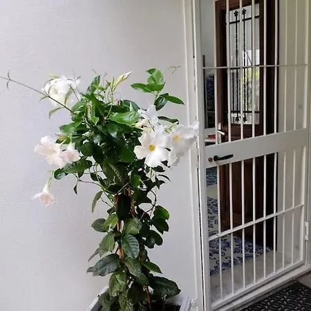Apartament Angiolina